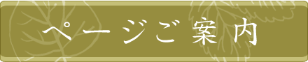 庭園・外構・ガーデニング 花彩（はないろ）｜ページ一覧へ